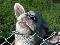 dscn1031a