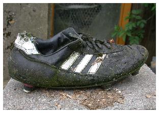 bild der woche