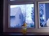 Blick ins Blaue . View in the blue