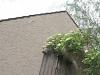 Holunder-Scheune . Elder-Barn