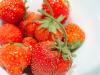 Die letzten Erdbeeren