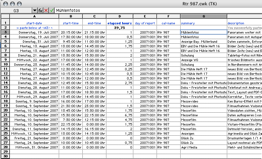 the iCal Report pasted into in a spreadsheet